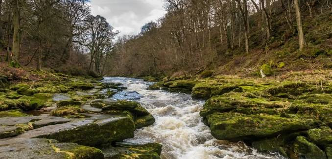 İşte dünyanın en ölümcül 5 nehri - Resim: 10
